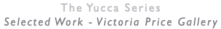 The Yucca Series Selected Work - Victoria Price Gallery